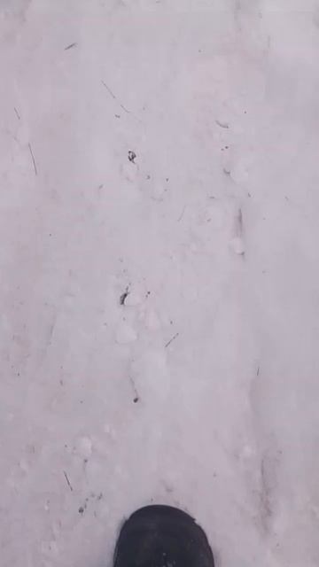 буран с двигателем Лифан 29 сил смотреть онлайн