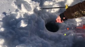 поимка форели на пасту