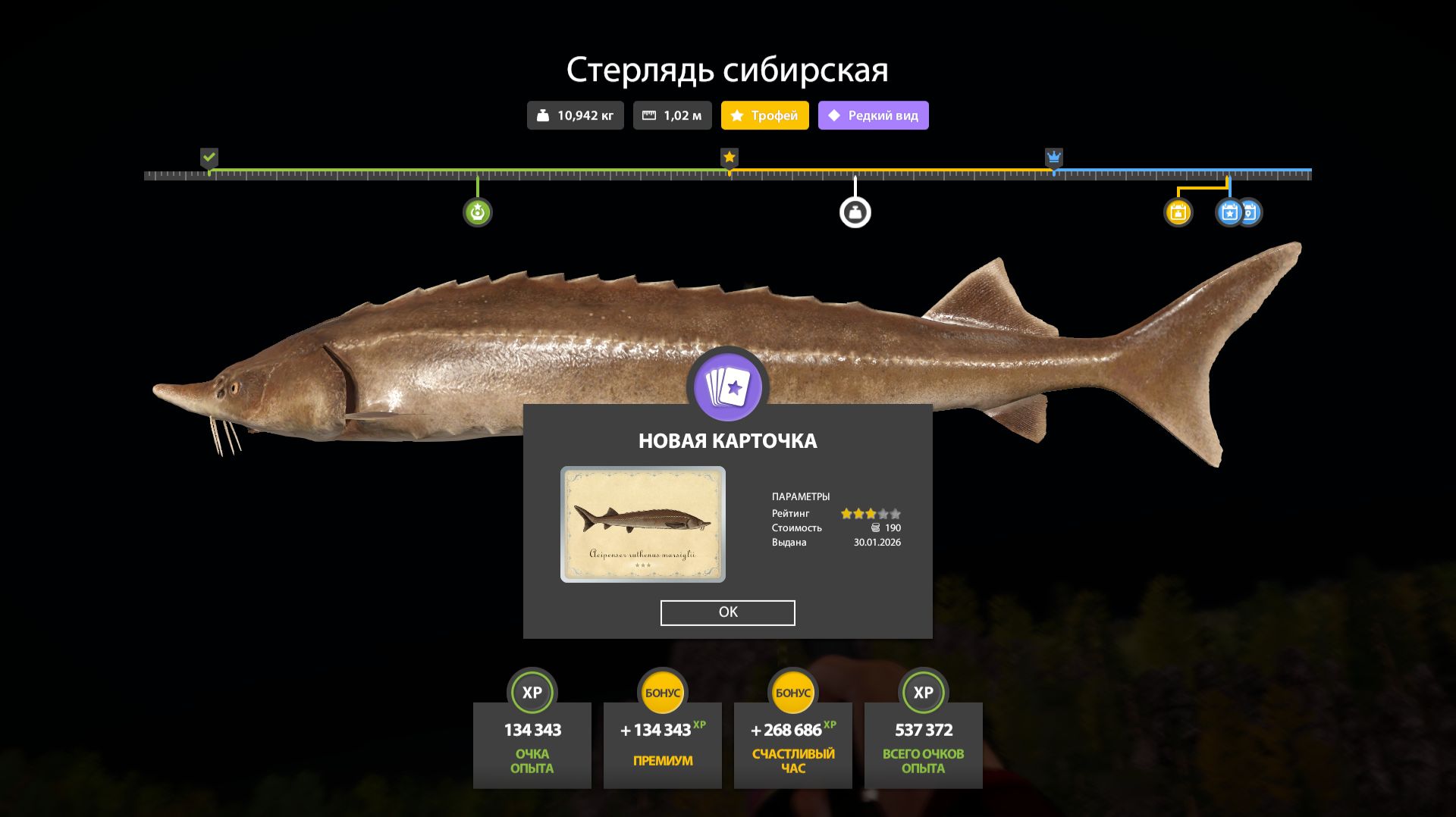 2026-01-30 04-20-40 смотреть онлайн