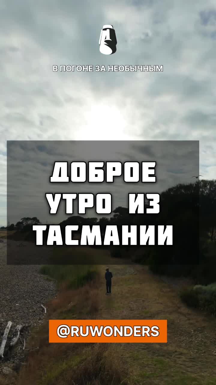 С добрым утром из Тасмании смотреть онлайн