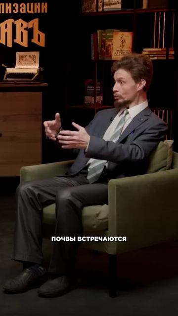 Парадокс русских полей #shorts #светославъ #Артамонов #Быков смотреть онлайн