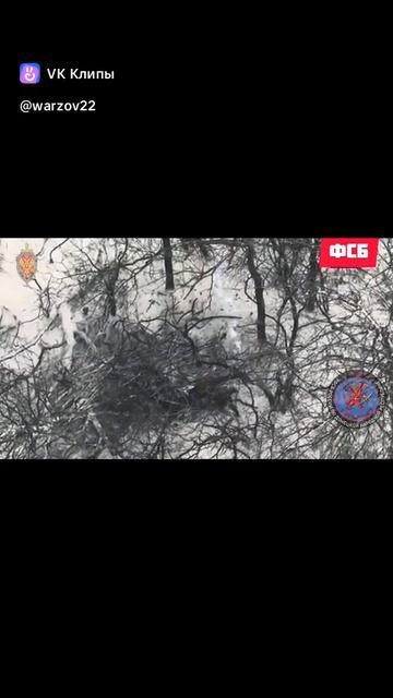 Подразделение ФСБ "Горыныч" смотреть онлайн