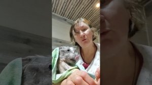 Ночной mukbang Снежка