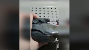 Вот это да! Здорово сделано!