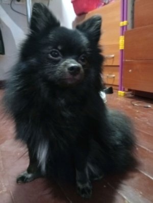 Я ВЕРНУЛСЯ! ВЕРОНИКА РИСУЕТ!