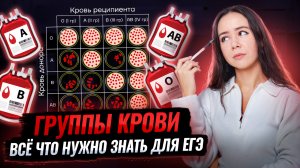 Группы крови для ЕГЭ по биологии С НУЛЯ | Биология ЕГЭ | Умскул