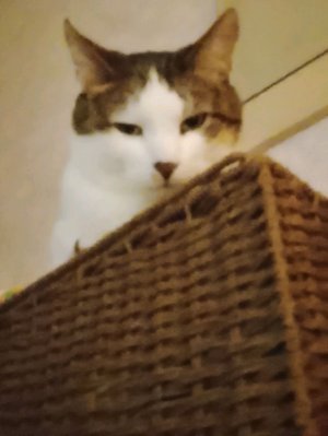 я собираюсь в школу