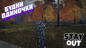 🔴Знакомство с Атаманом🎄Сталкер онлайн🎄StayOut🎄Steam EU-1