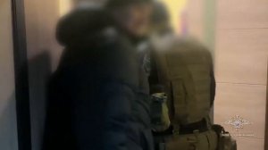 Ирина Волк: В Новосибирске задержаны подозреваемые в серии мошенничеств в сфере автострахования