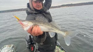 Рыбалка на судака 11.2024