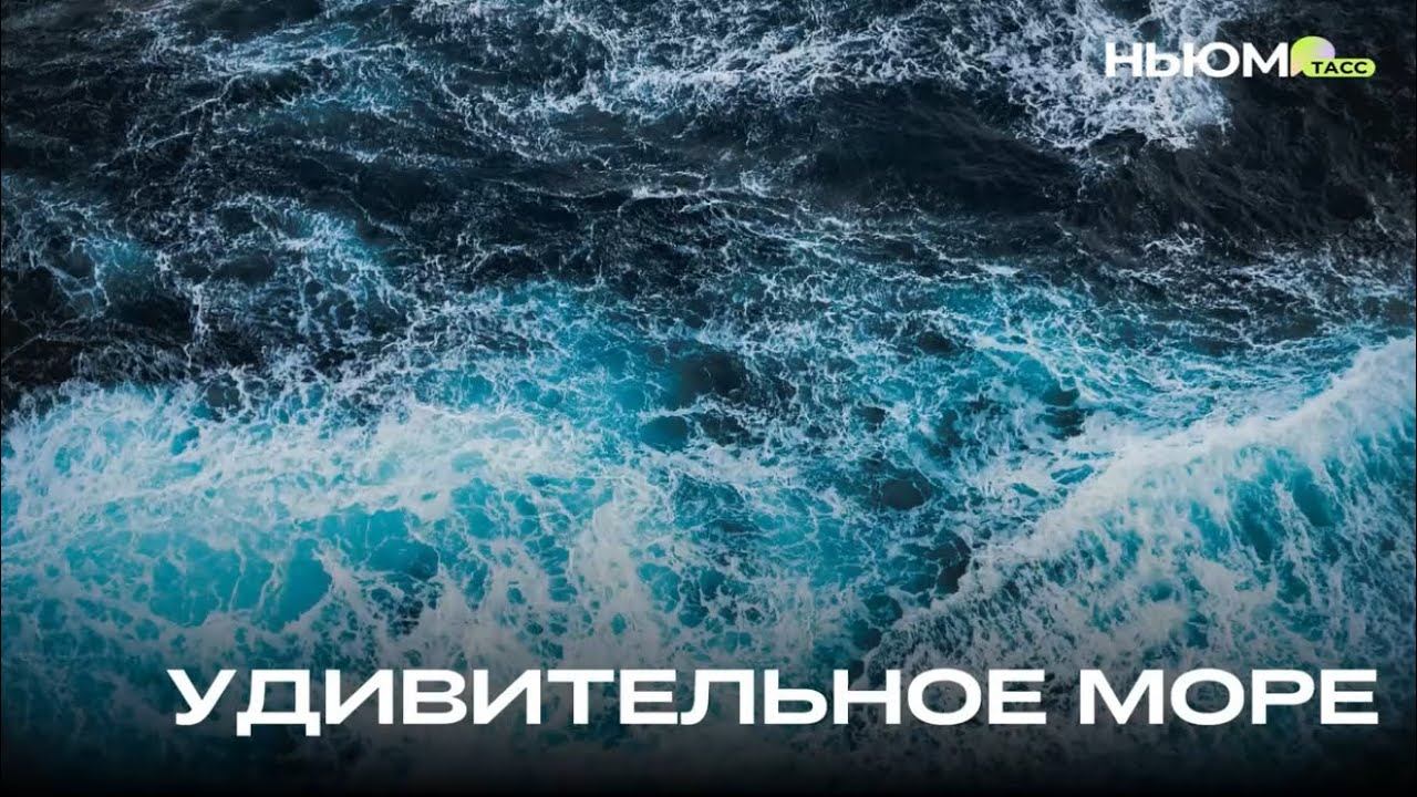 Интересные факты о морях смотреть онлайн