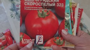 Обзор семян томатов на 2026г.🍅Приходила лиса на дачу!🦊