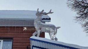 «Лучшее новогоднее украшение дома ТОС»