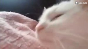 Как надо выходить к доске