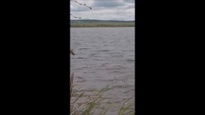 2-й день рыбалки д.Аминево