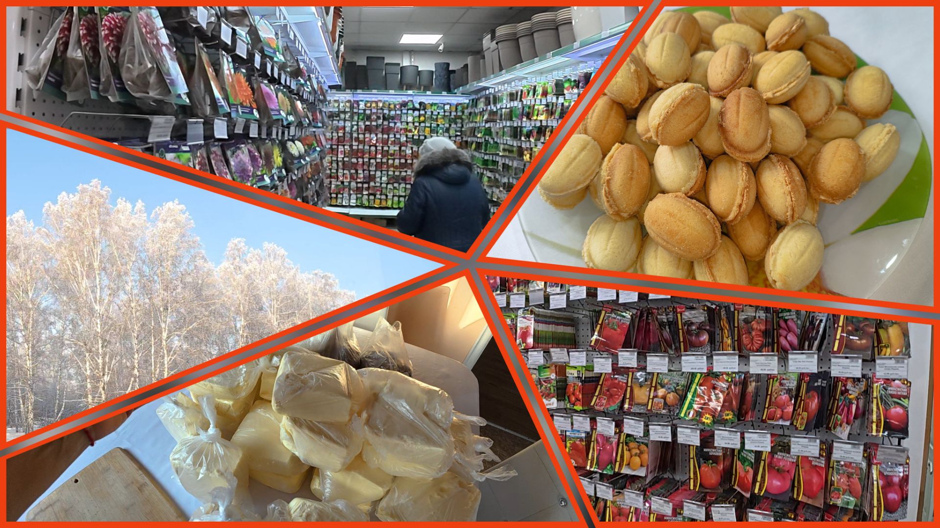 28.01.2026 // В семена и СУФУДЭ // Покупки // Стряпаю орешки смотреть онлайн