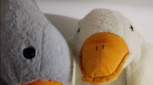 Играем в 99 ночей в лесу