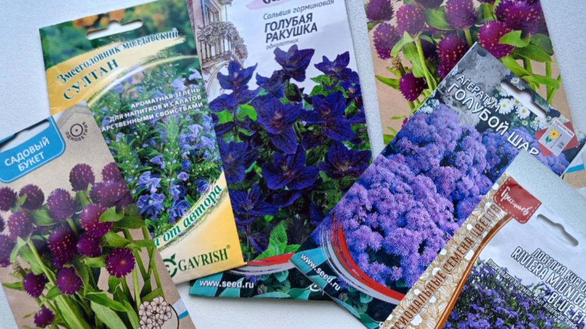 Однолетники в синей гамме смотреть онлайн