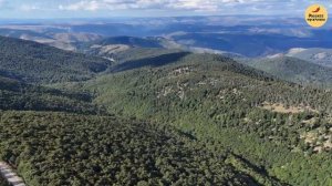 Выгнала из дома спустя двадцать лет вместе | Рассказ мужчины