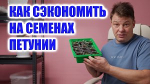 Взойдут ли семена петунии через год? Эксперимент из холодильника — результаты!
