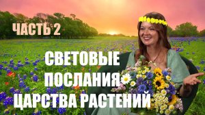 СЕКРЕТЫ ЦАРСТВА РАСТЕНИЙ ч 2