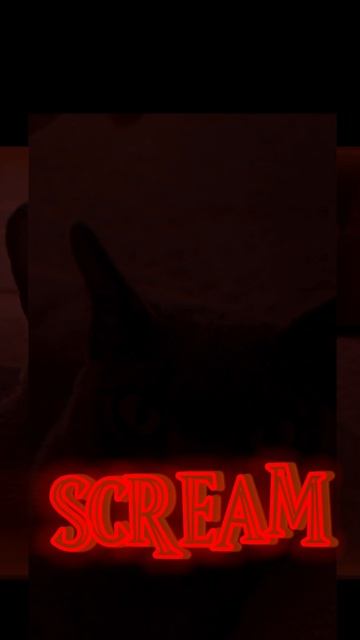 MR_TAISON смотреть онлайн