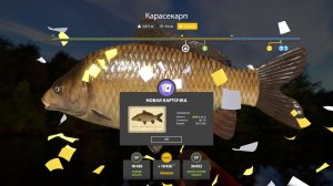 Русская Рыбалка 4 Трофей (Карасекарп) оз. Медное