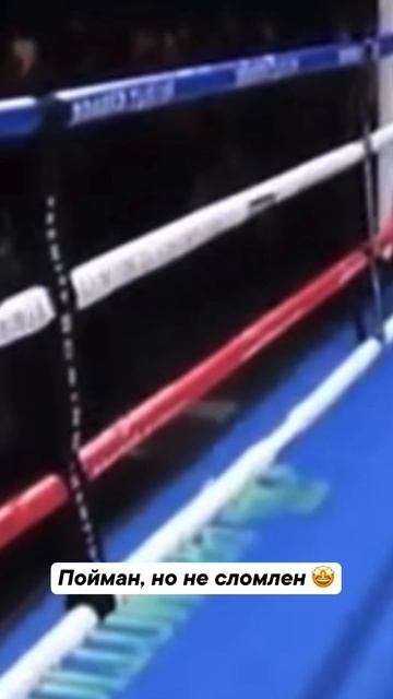 Дэвис ещё вернется! смотреть онлайн