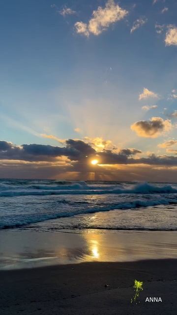 Тонем в этом океане