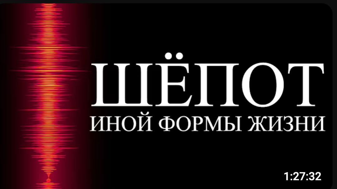 С нашей эволюцией что-то не так  ALI