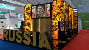 Пермский край, Энергетический Форум, Гоа, Индия