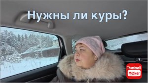 Ольга Уралочка. Нужны ли куры?