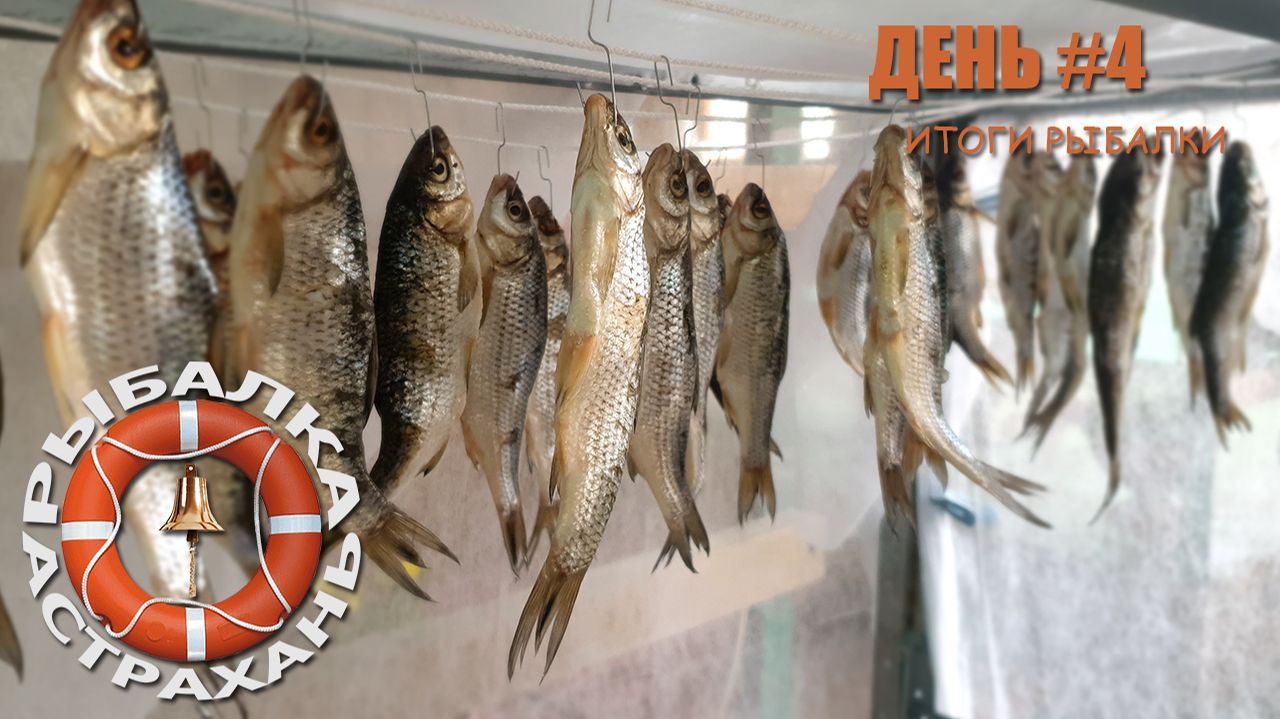 RIBALKA_VOBLA-2024_d-4 смотреть онлайн