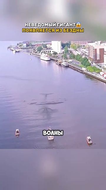 Краткий пересказ фильма смотреть онлайн