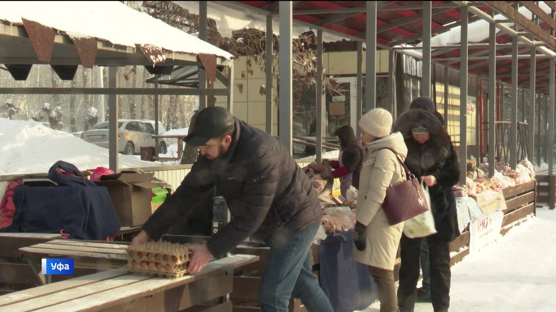В выходные в Уфе пройдут сельхозярмарки смотреть онлайн
