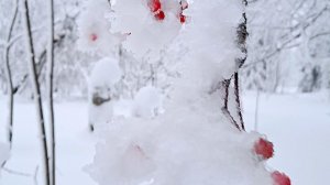 Пермь как Москву завалило снегом