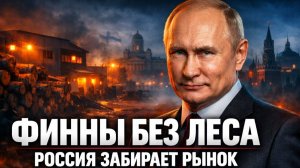 РОССИЯ ЗАХВАТИЛА РЫНОК ФИННЫ БЕЗ ЛЕСА