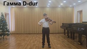 Петров Степан Сергеевич,МБУ ДО ДШИ №3,скрипка,младшая