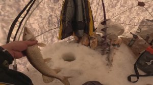 Треш рыбалка на Северной Сосьве. Утопили телефон. Январь 2026г. Ч.2