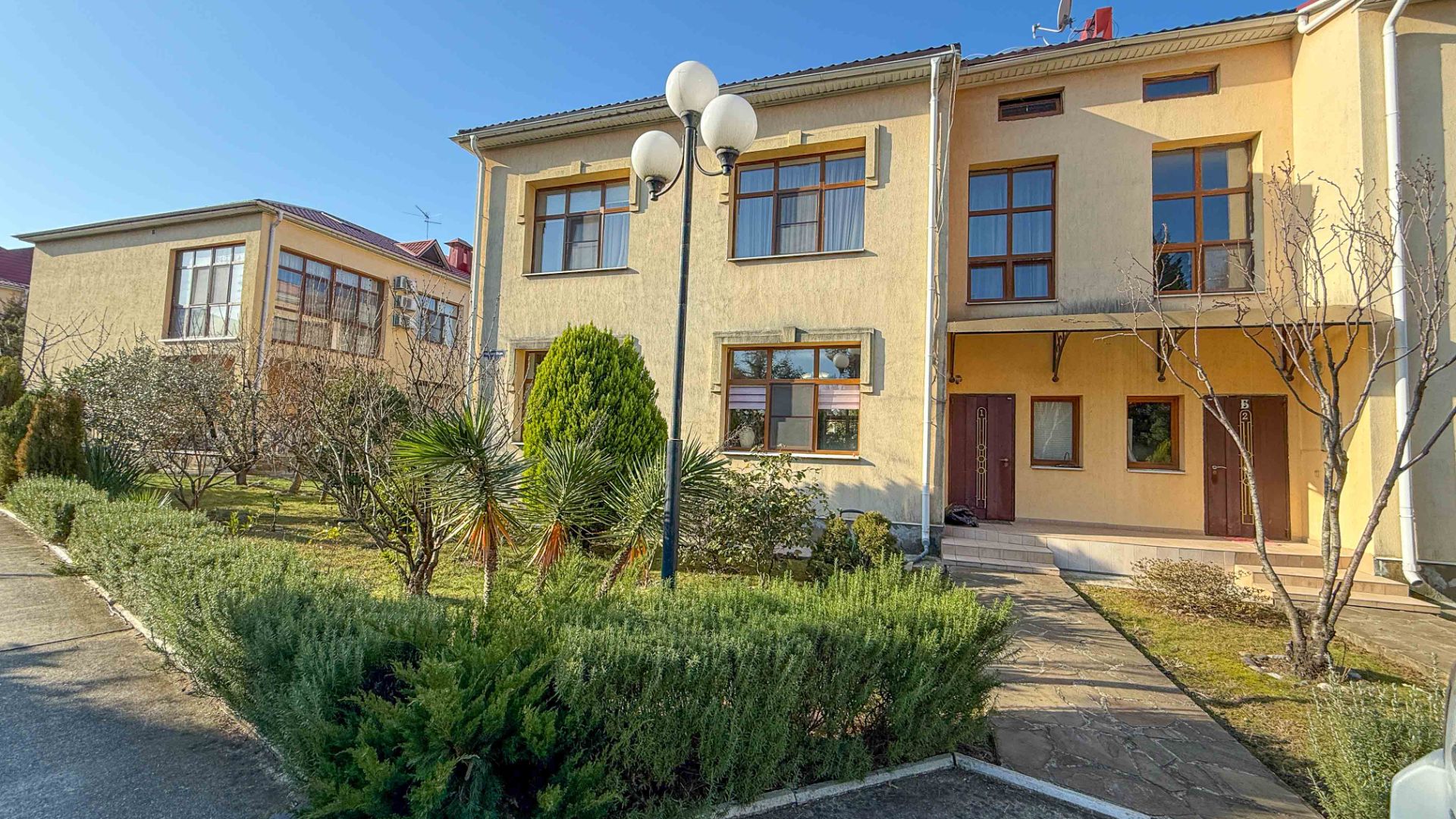 Орхидея парк Альфагид