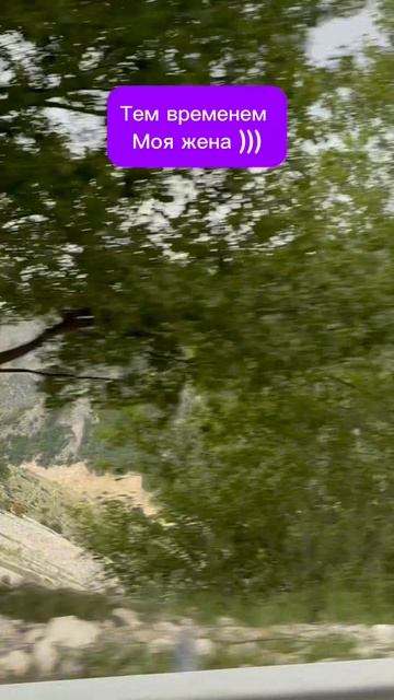 Поездка в горы. смотреть онлайн