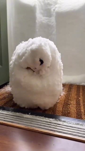 Просто прошел снег