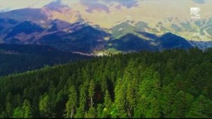 КЧР по итогам 2025 г. сохраняет положительную динамику по основным макроэкономическим показателям