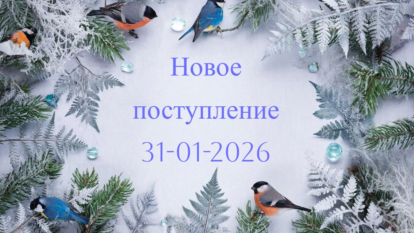Новое поступление 31-01-2026 смотреть онлайн