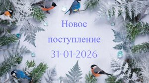 Новое поступление 31-01-2026