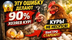 ❌ ЭТУ ошибку делают 90% хозяев кур 😱 Почему куры НЕ несутся и быстро стареют 🐔🥚