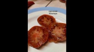 Каталог моих сортов томатов .Часть 4