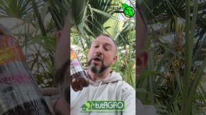 ПРИГОТОВЬТЕСЬ УДИВЛЯТЬСЯ: это домашнее средство разбудит и очень старые семена. Как замочить семена?