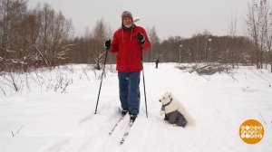 Лыжная прогулка с пользой для здоровья. Доброе утро. Фрагмент выпуска от 30.01.2026