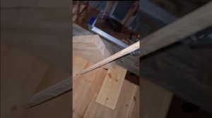 1000047344.mp4 (Собака наблюдает за устройством лестницы на 2 этаж в доме А-фрейм)